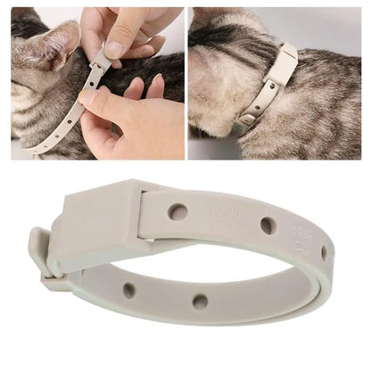 Adjustable Flea Tick Collar For Cats Dogs Anti Flea Lice Pet Repellent Collar Safe Non Toxic For Small Dogs Cats Kittens Puppies
