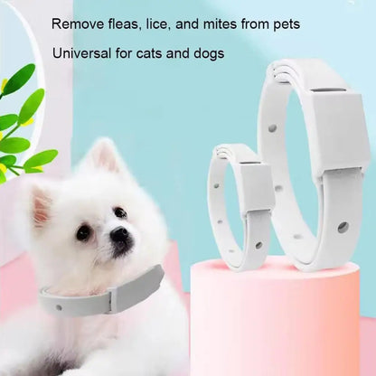 Adjustable Flea Tick Collar For Cats Dogs Anti Flea Lice Pet Repellent Collar Safe Non Toxic For Small Dogs Cats Kittens Puppies