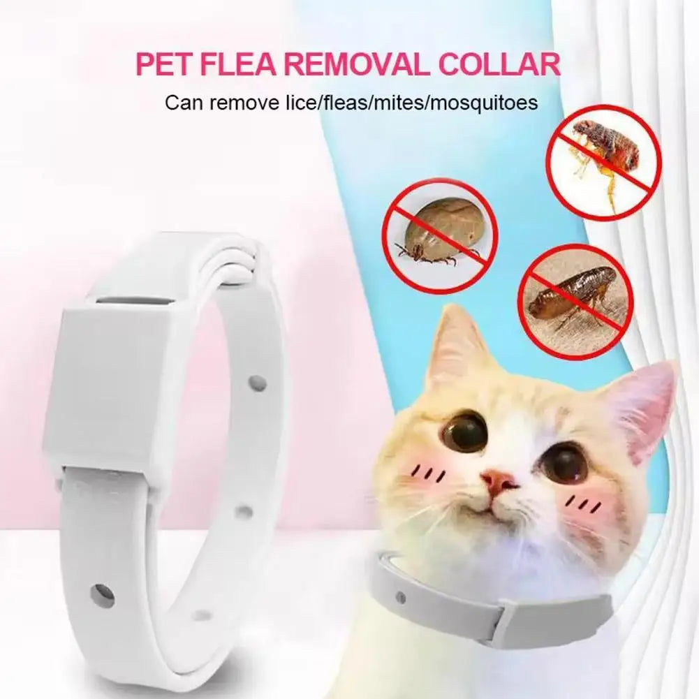 Adjustable Flea Tick Collar For Cats Dogs Anti Flea Lice Pet Repellent Collar Safe Non Toxic For Small Dogs Cats Kittens Puppies